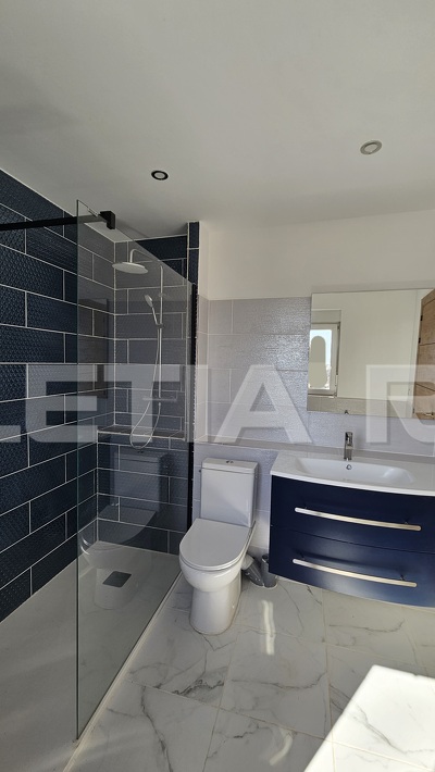 AJ1253: Independent house with land divided into three plots