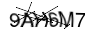 AK1050: Warehouse in Las Chafiras, San Miguel de Abona